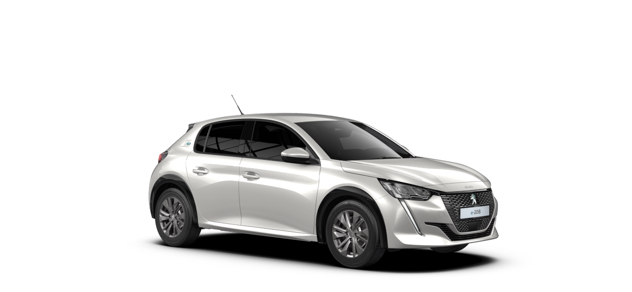 e208valge